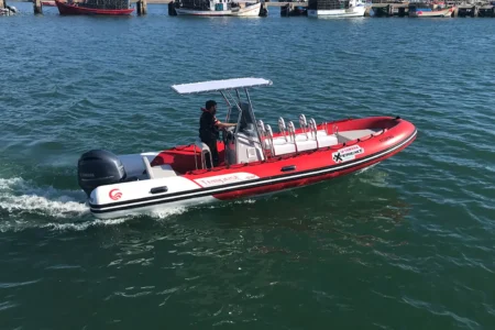 Capelli Yachts Ribs-Work Line TEMPEST 700 WORK - Navis Marine